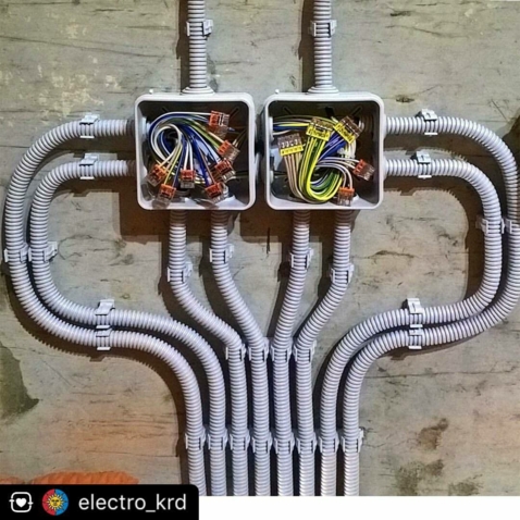 Самый большой ассортимент электромонтажных коробок  Ташкент